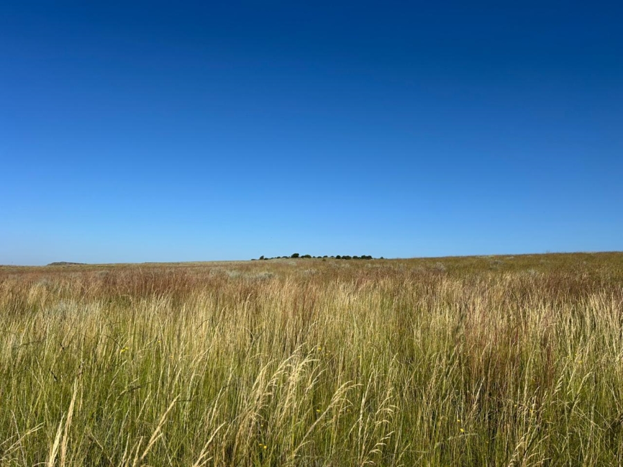 Commercial Property for Sale in Zastron Rural Free State